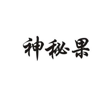 神秘果科技集团杨宗福