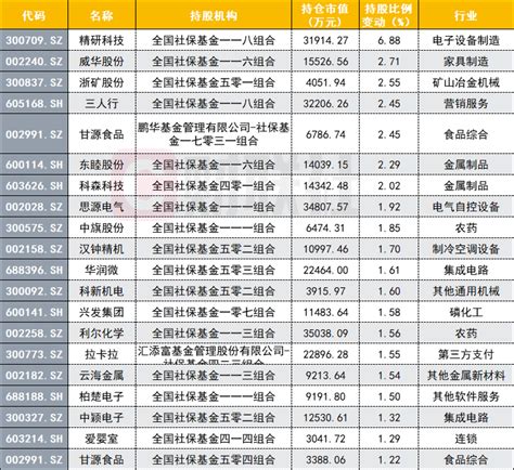 社保科技融资