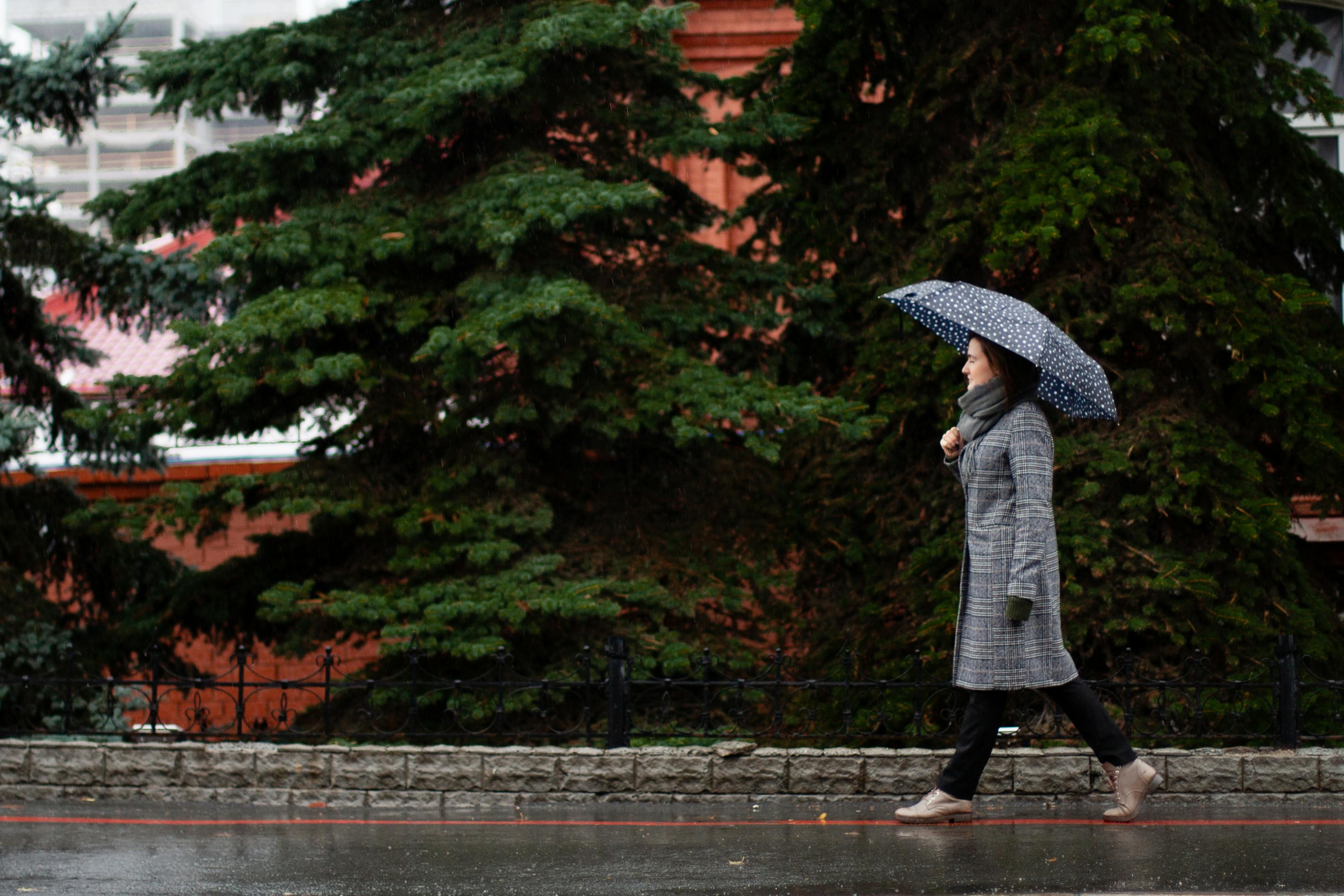 重庆否认增雨都打偏